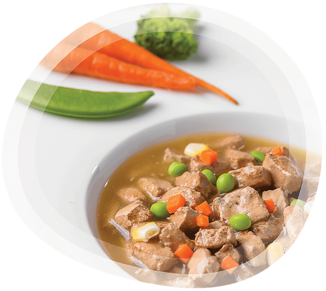 Casserole